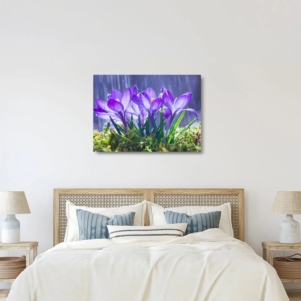Obraz na szkle - kwiaty w deszczu (70x50 cm)