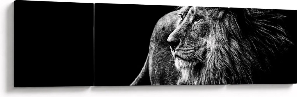 Obraz - Lew (170x50 cm)