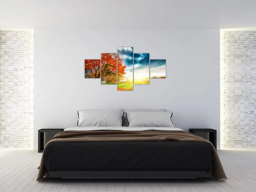 Obraz skąpanego w słońcu krajobrazu (125x70 cm)