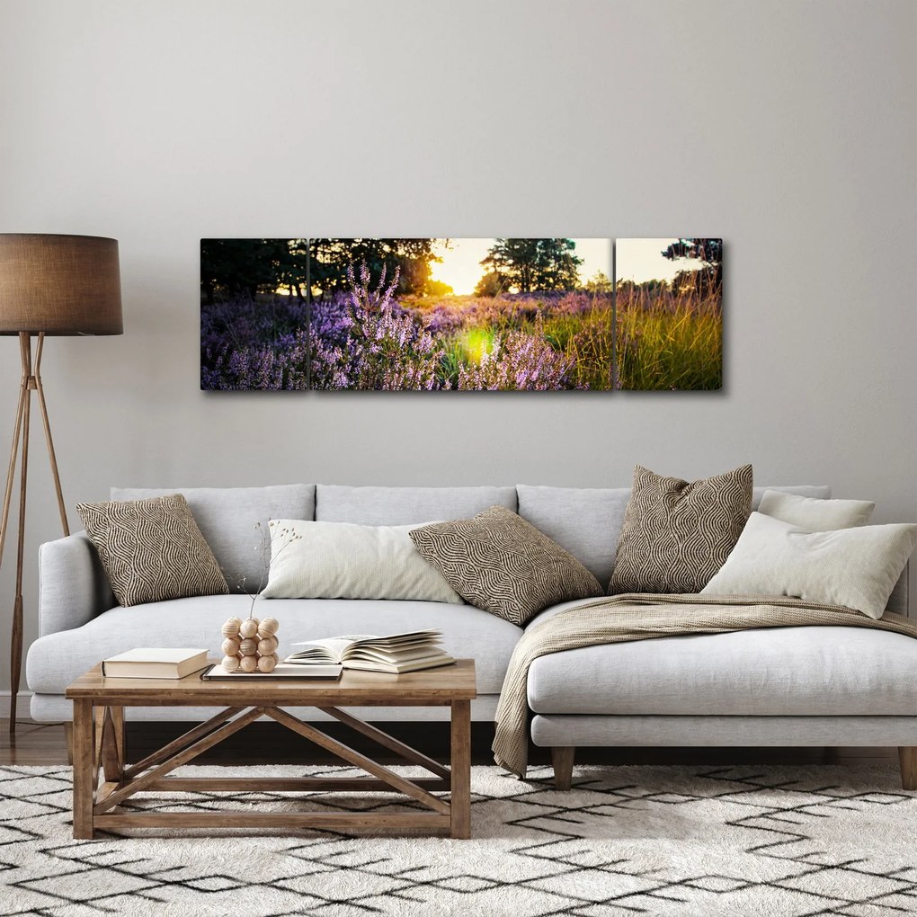 Obraz pola lawendy (170x50 cm)