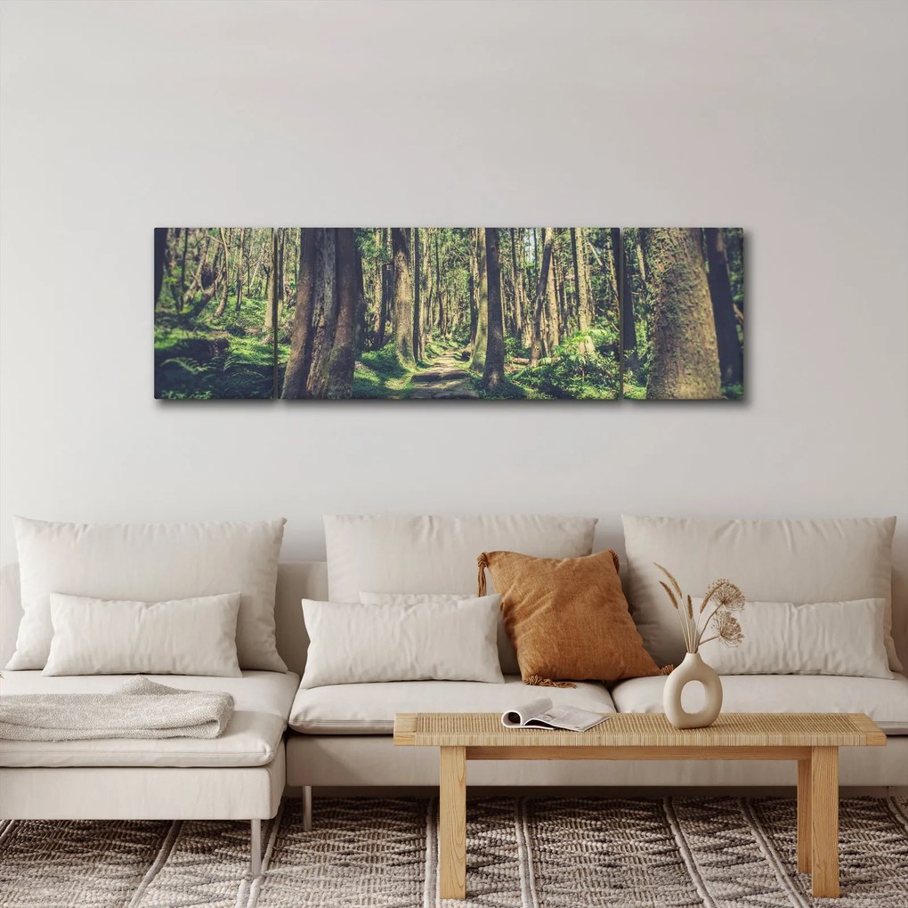 Obraz ścieżki pomiędzy drzewami (170x50 cm)