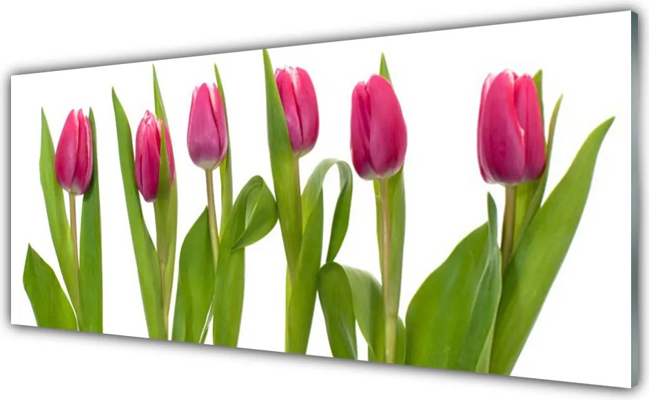 Panel Szklany Wiosenny Bukiet Tulipanów