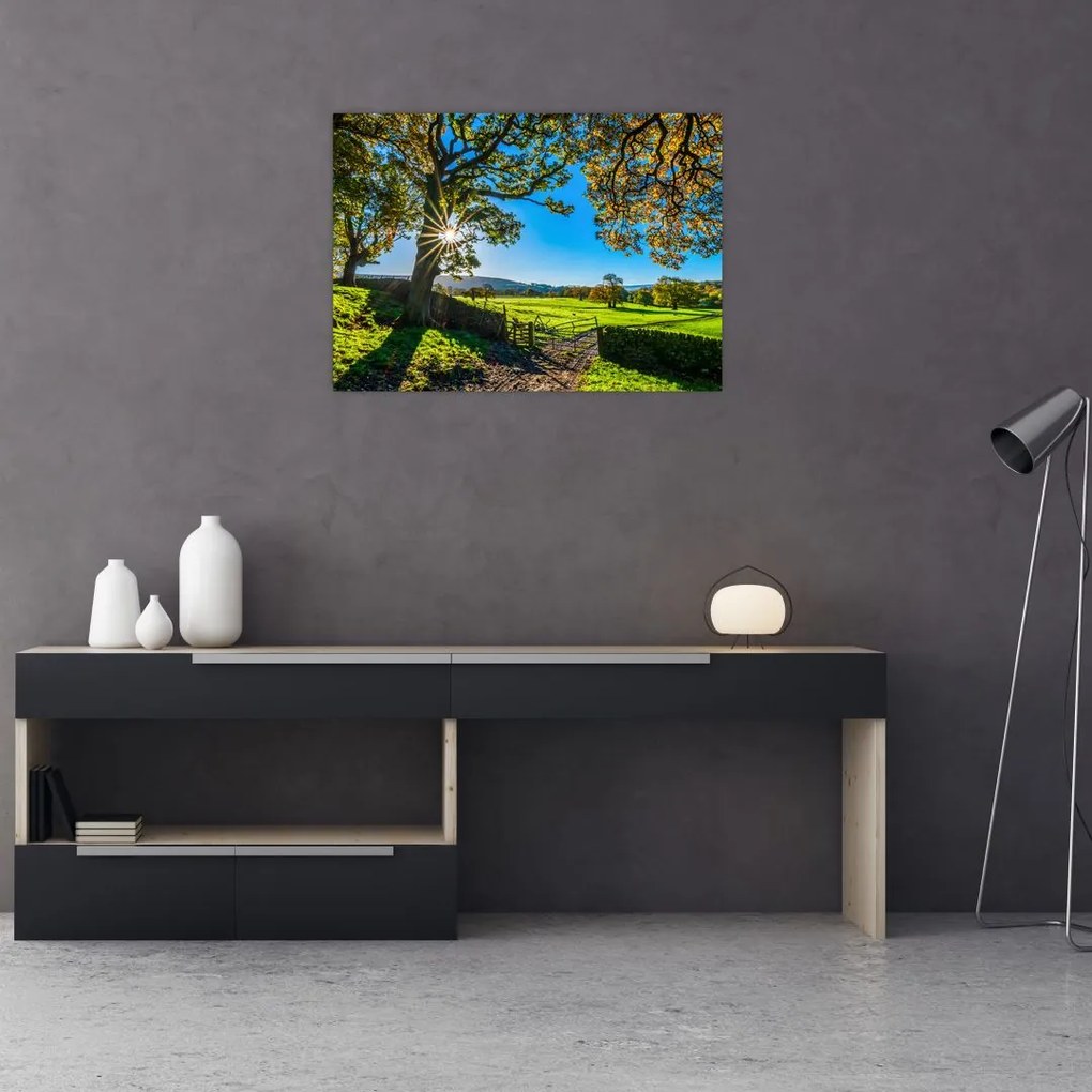 Obraz na szkle - widok pola (70x50 cm)