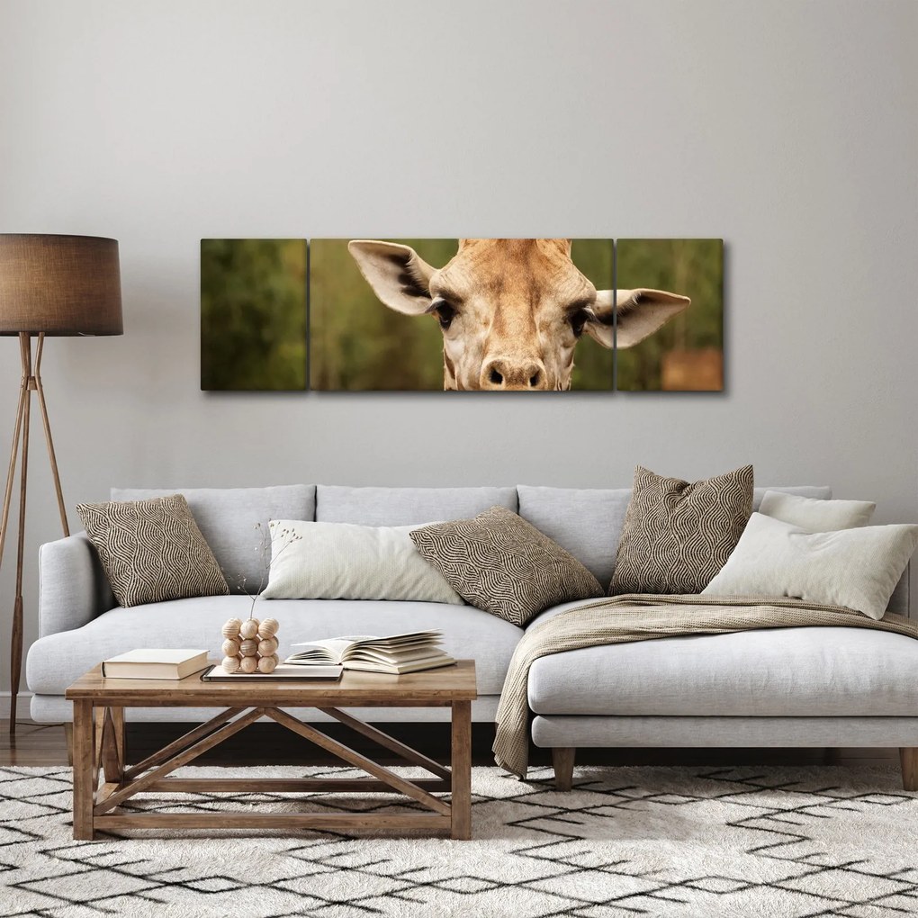 Obraz żyrafy (170x50 cm)