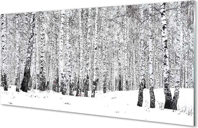Szklany Panel Zimowy Las Brzozowy
