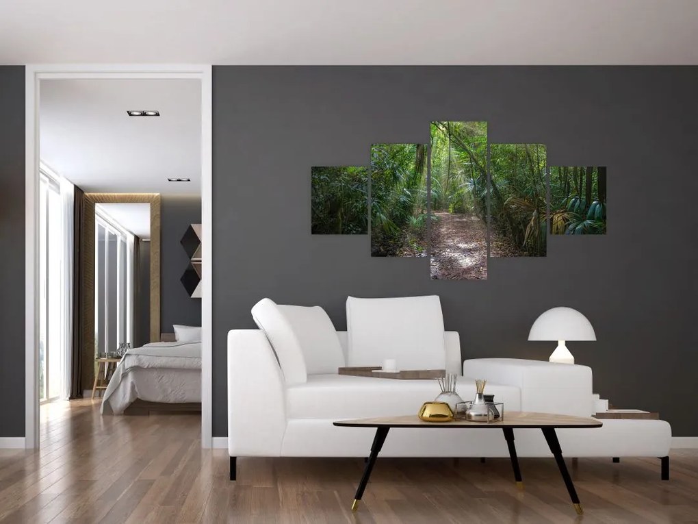 Obraz - Promienie słońca w dżungli (125x70 cm)