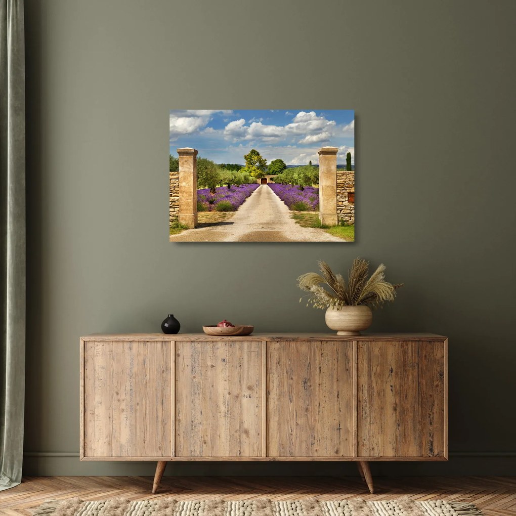 Obraz na szkle - Lawendowe ścieżki (70x50 cm)
