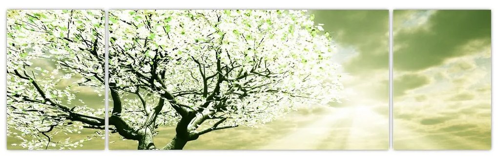 Obraz drzewa na łące (170x50 cm)