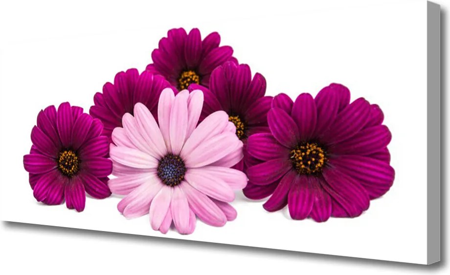 Obraz na płótnie Letni Ogród w Pełnym Słońcu