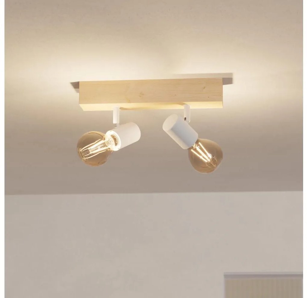 Eglo 99483 - Oświetlenie punktowe TOWNSHEND 3 2xE27/60W/230V