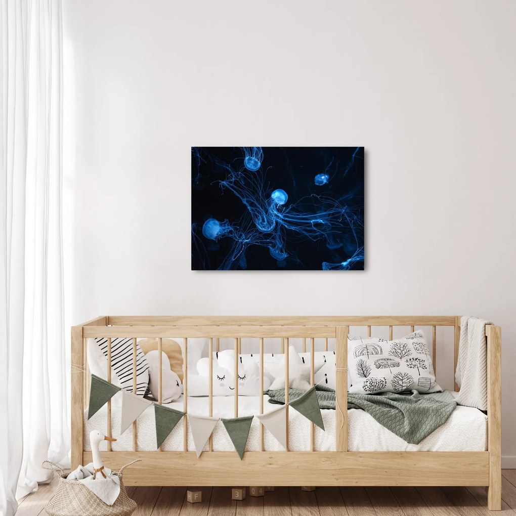 Obraz - Meduza (70x50 cm)