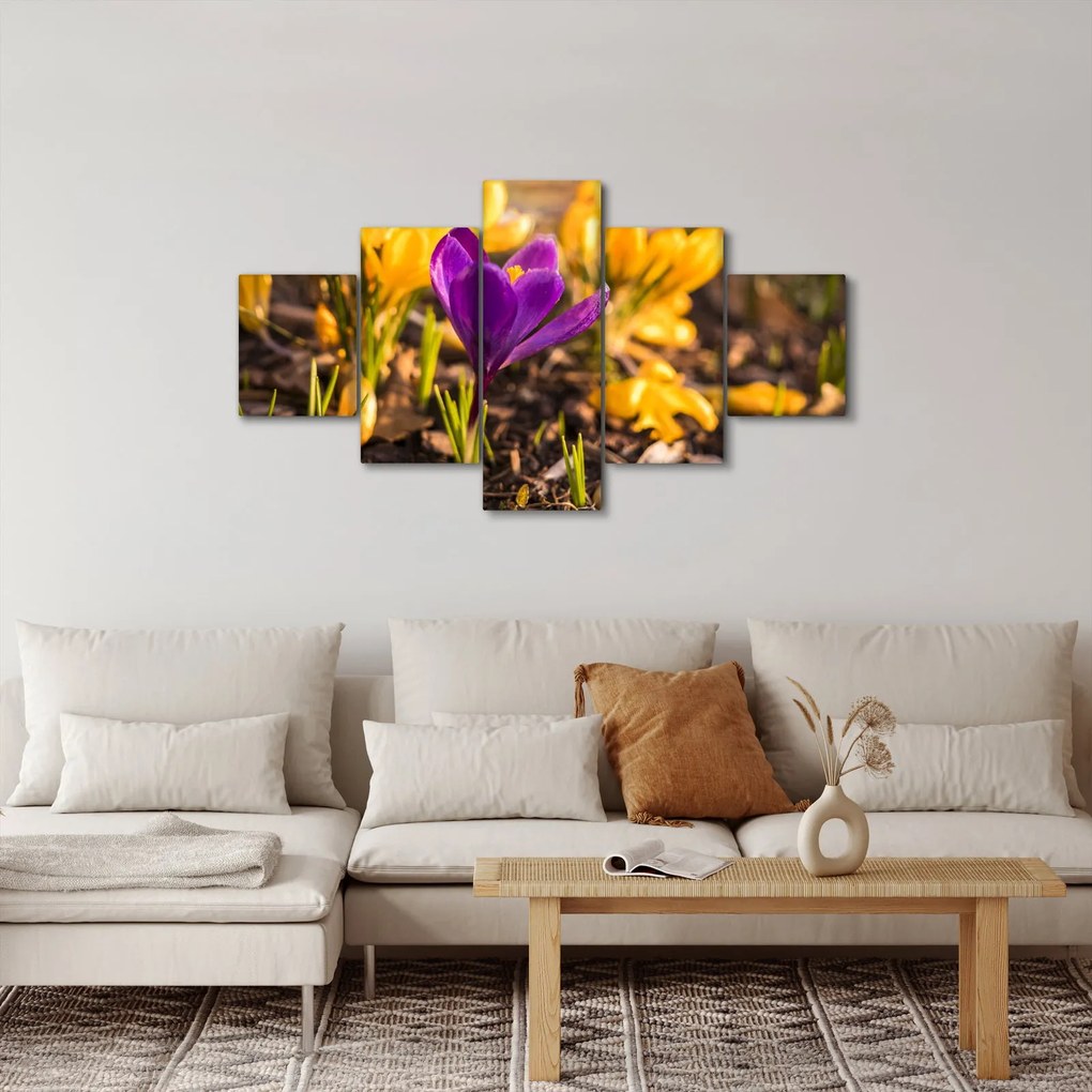 Obraz fioletowego kwiatu (125x70 cm)