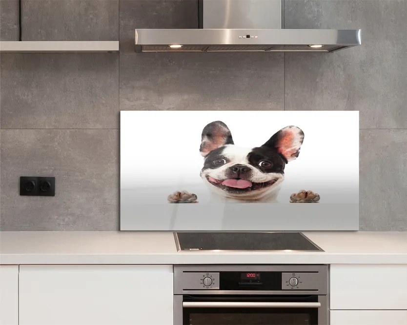 Panel Kuchenny Szklany Spojrzenie Wiernego Przyjaciela