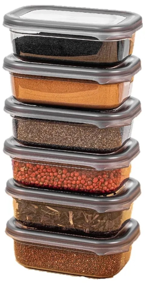 Pojemniki 6 szt. na żywność Fresco – Hermia