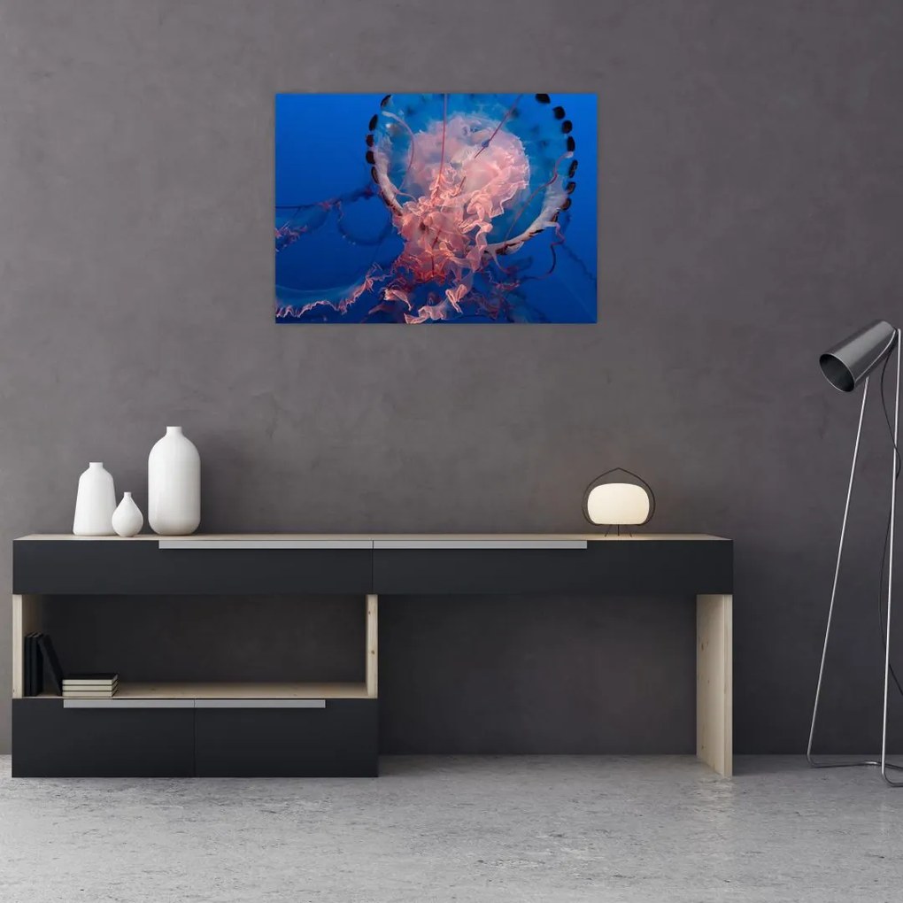 Obraz na szkle meduzy (70x50 cm)