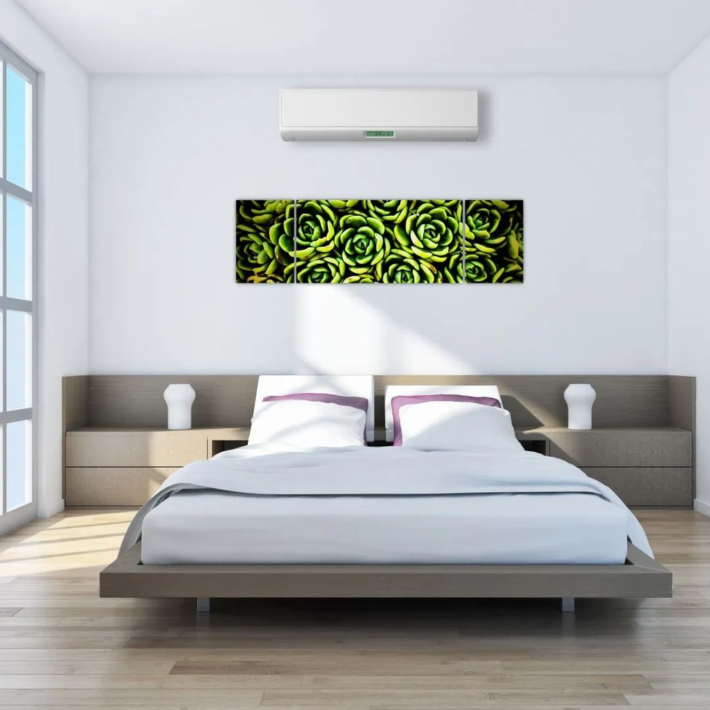 Obraz bez grzywki (170x50 cm)
