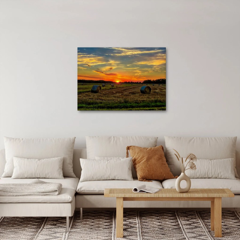 Obraz - Wiejskie bale (70x50 cm)