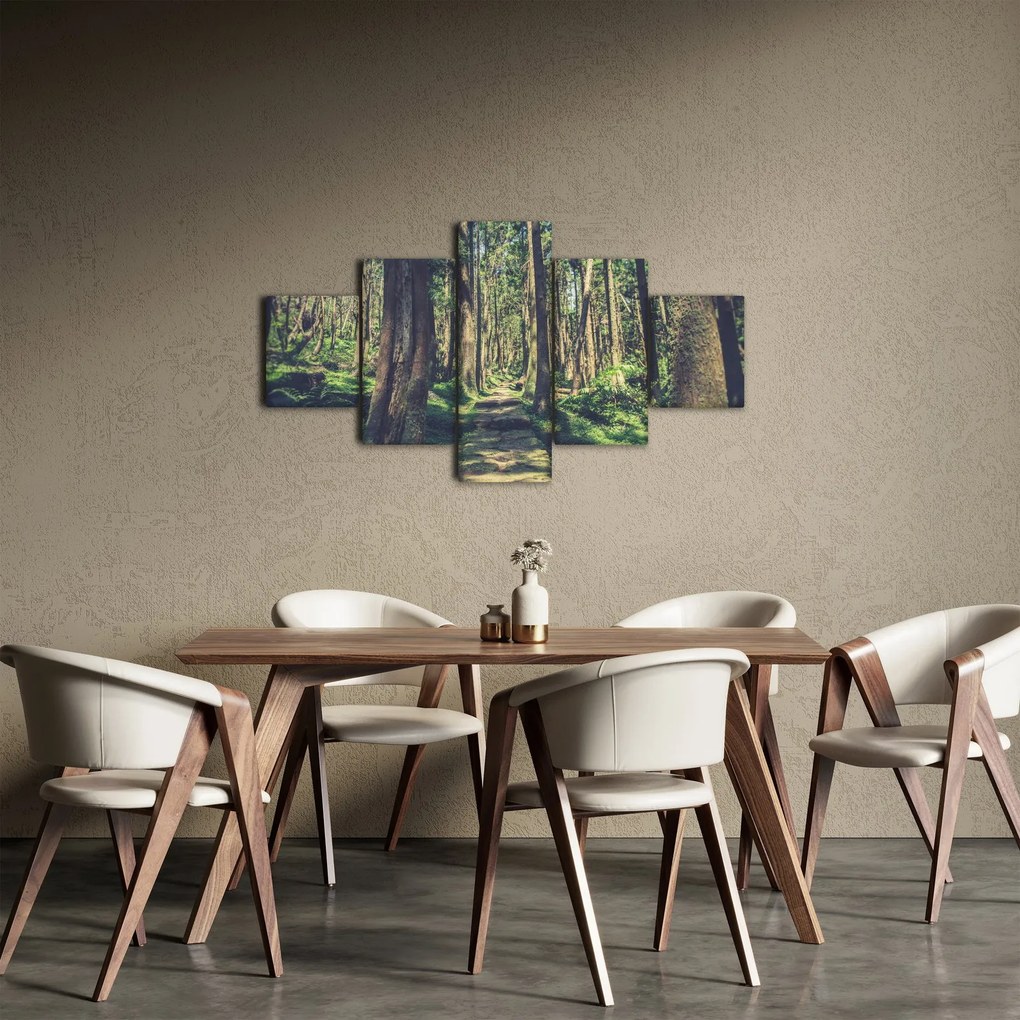Obraz ścieżki pomiędzy drzewami (125x70 cm)