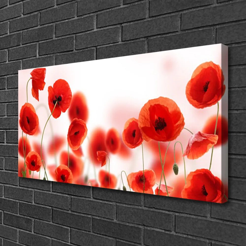 Obraz canvas na ścianę Czerwone Maki w Polu