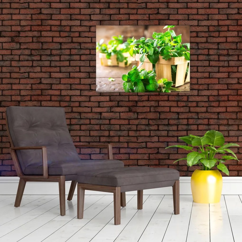 Obraz na szkle - świeża mięta (70x50 cm)