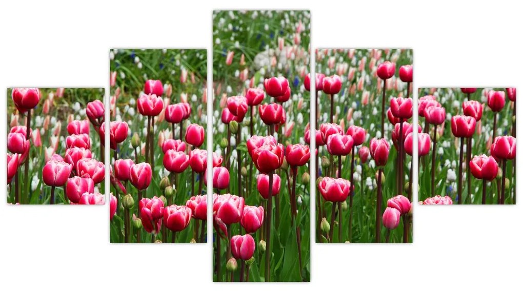 Obraz tulipanów (125x70 cm)