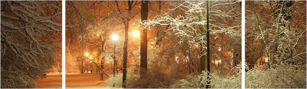 Obraz - Zaśnieżony park (170x50 cm)
