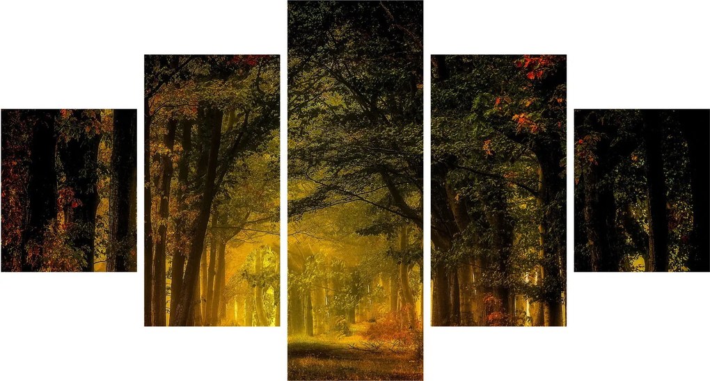 Obraz lasu (125x70 cm)