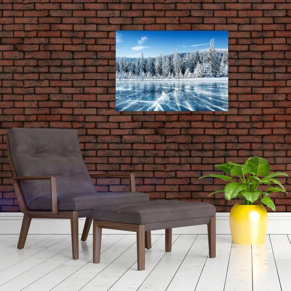Obraz zamarzniętego jeziora i pokrytych śniegiem drzew (70x50 cm)
