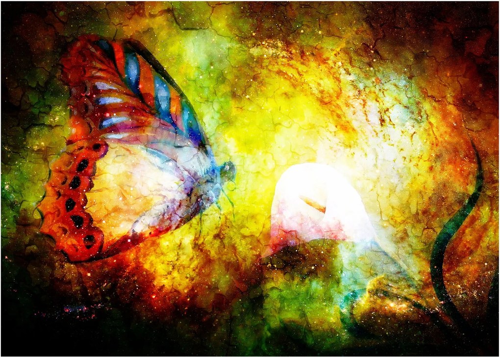 Obraz - Kosmiczny motyl (70x50 cm)