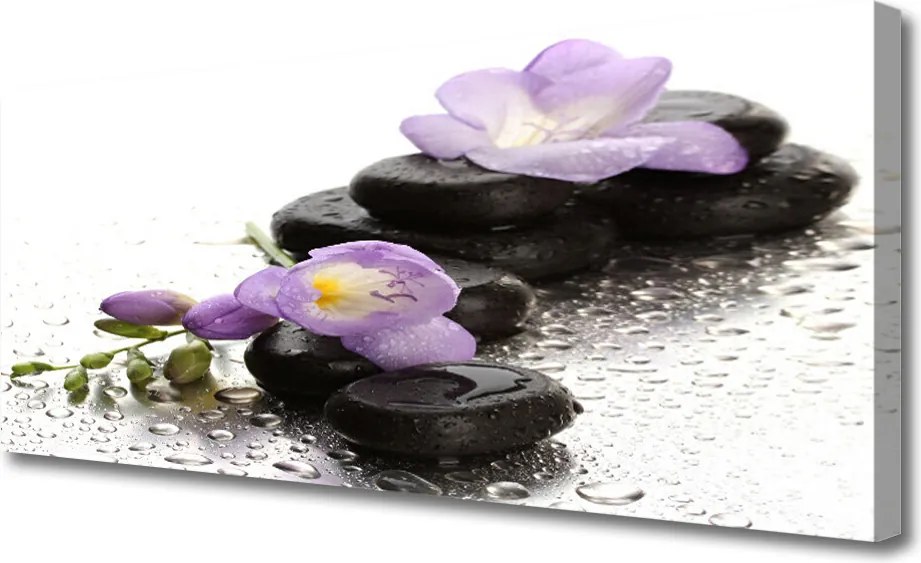 Obraz canvas Równowaga: Kwiat i Skała