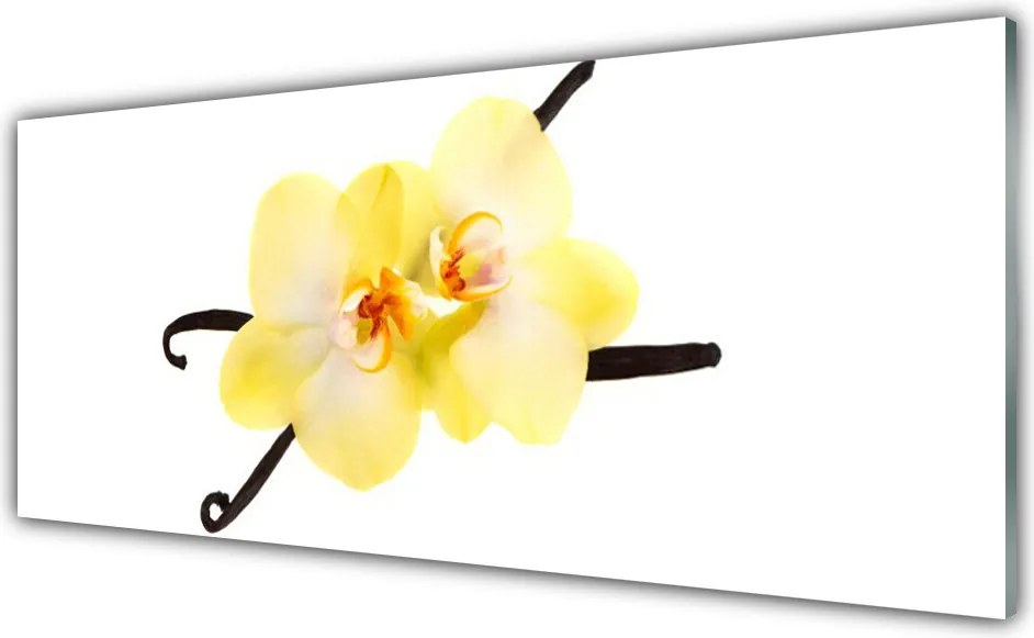 Panel Szklany Pełnia Barw Natury