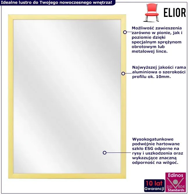 Aluminiowe lustro ścienne szampański D3-F21