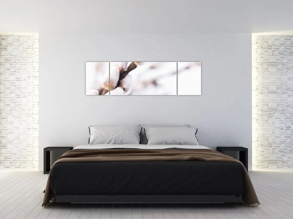 Obraz - Gałąź wierzby płaczącej (170x50 cm)