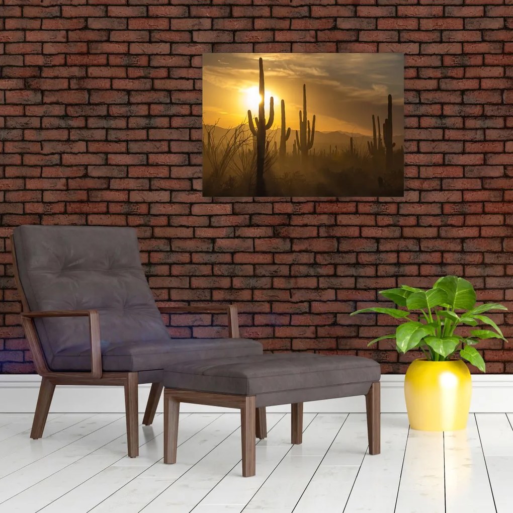 Obraz na szkle - Kaktusy Saguaro (70x50 cm)
