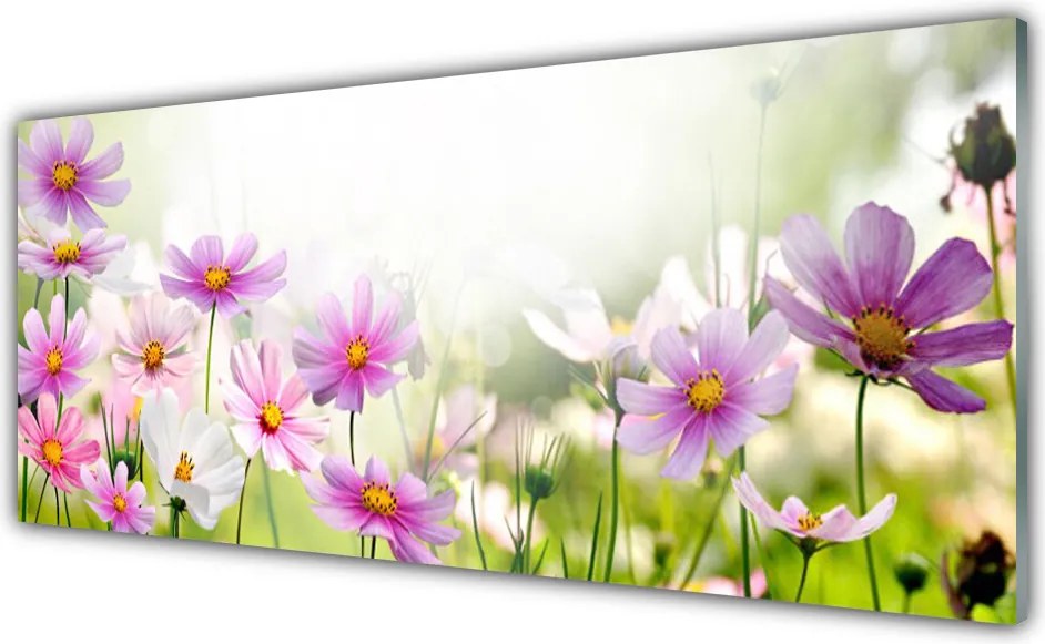 Panel Szklany Naturalna Harmonia Roślin