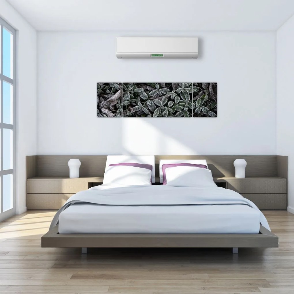 Obraz - Zamrożone rośliny (170x50 cm)