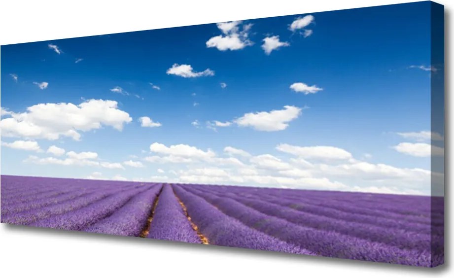 Obraz na płótnie Kwiatowy Dywan na Polanie