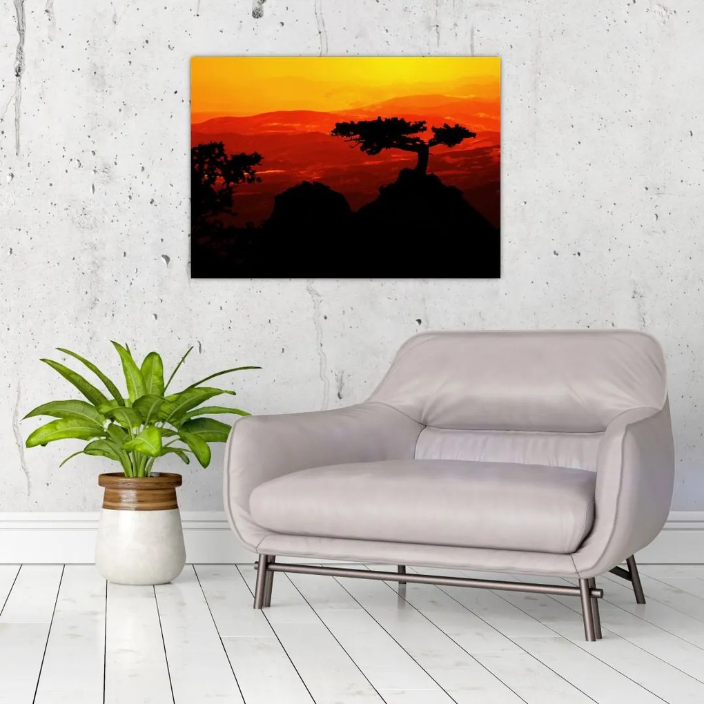 Obraz - Zachód słońca (70x50 cm)