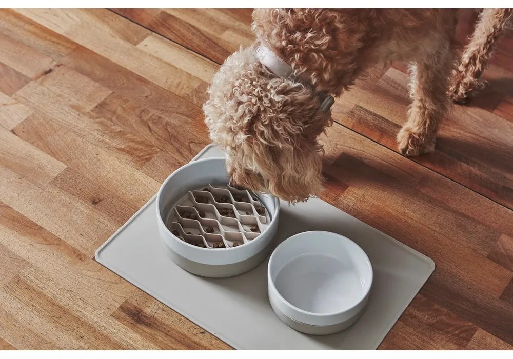 Porcelanowa miska dla psów ø 21,5 cm Coppa Greige M/L – MiaCara