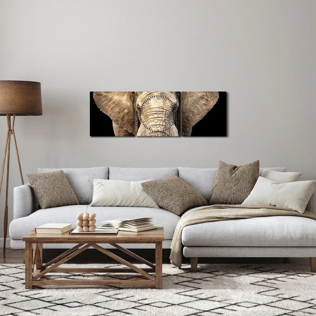 Obraz - Słoń afrykański (z zegarem) (90x30 cm)