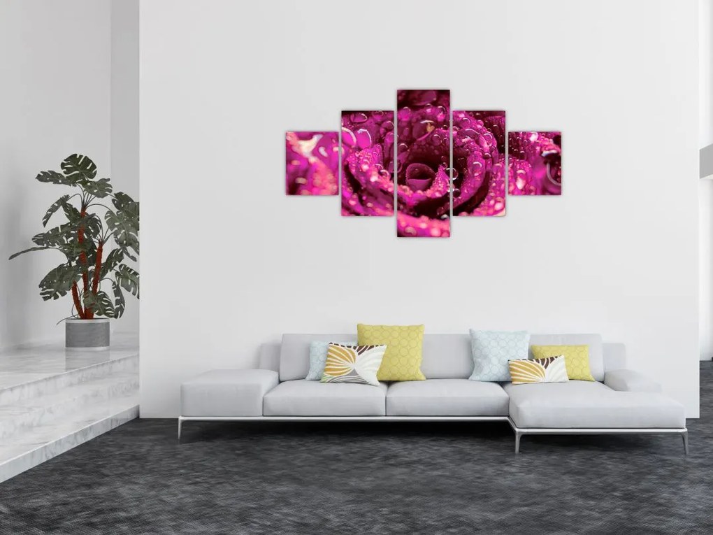 Obraz różowego kwiatu róży (125x70 cm)