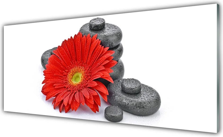 Panel Szklany Wyrazista Czerwona Gerbera