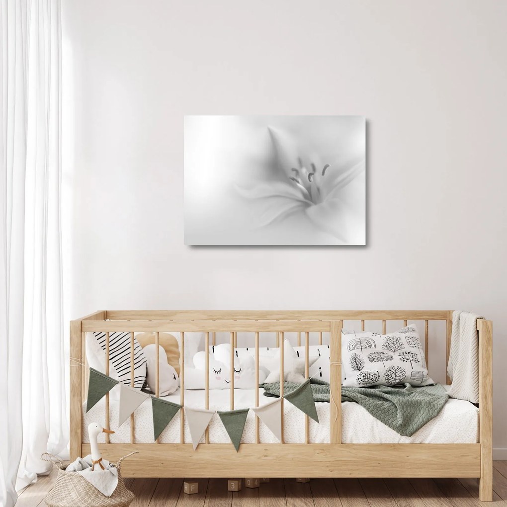 Obraz na szkle - Delikatna lilia (70x50 cm)
