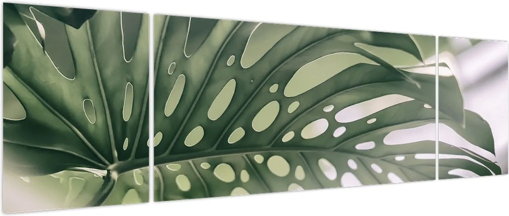 Obraz - Lista potworów (170x50 cm)