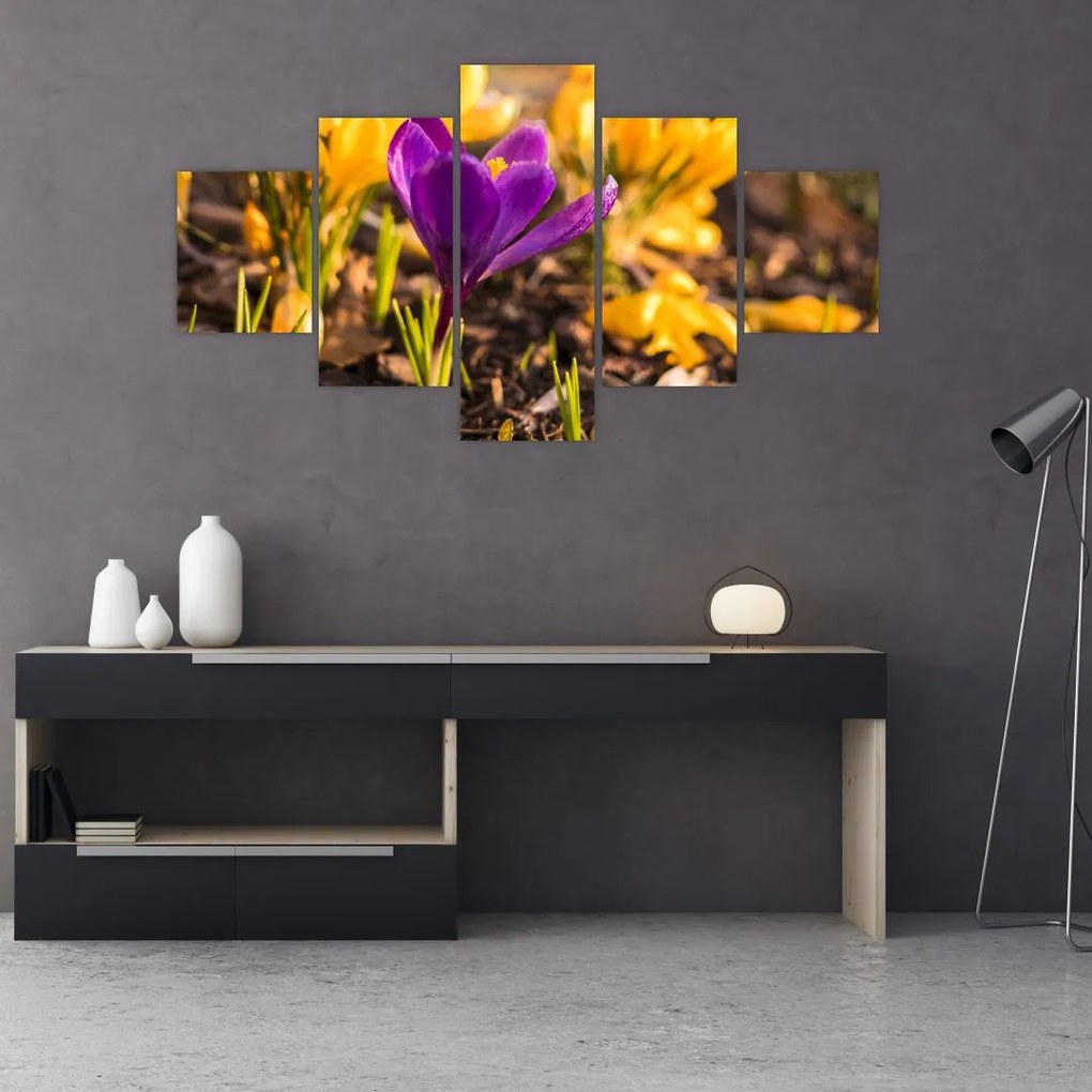 Obraz fioletowego kwiatu (125x70 cm)