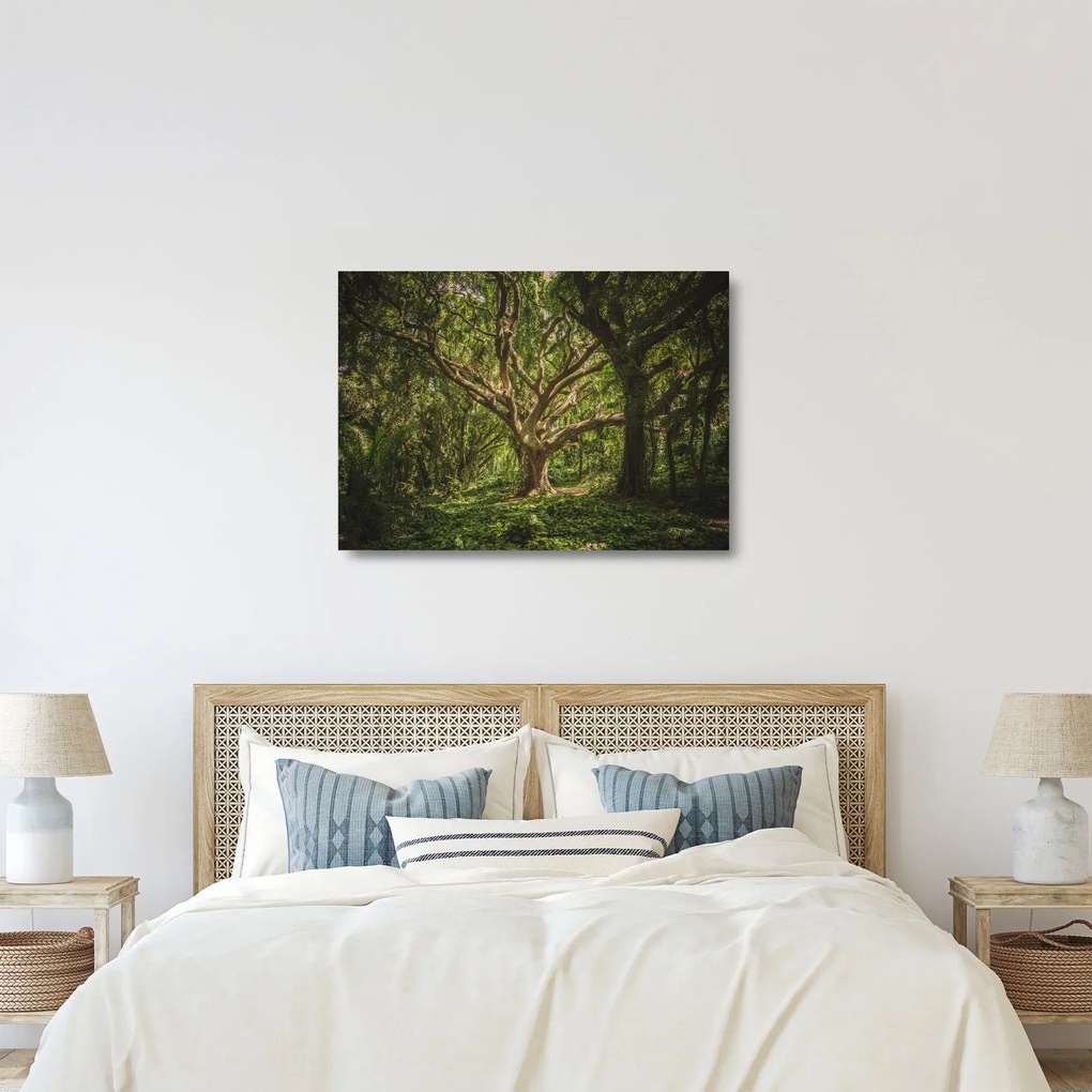 Obraz na szkle drzewa (70x50 cm)