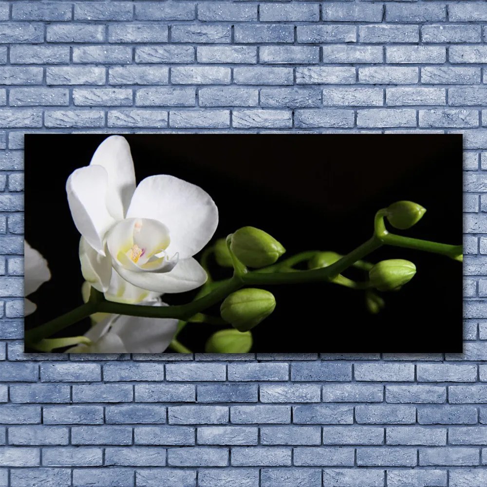 Obraz canvas Botaniczna Elegancja Kwiatów