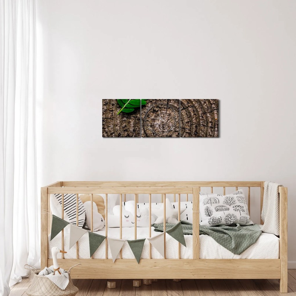Obraz liścia na pniu drzewa (z zegarem) (90x30 cm)