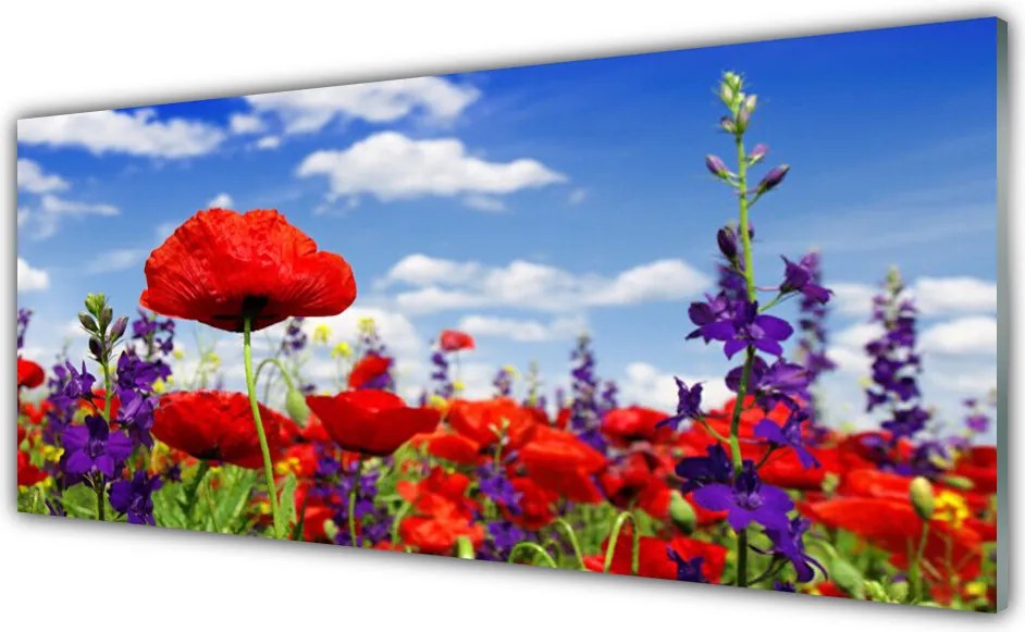 Szkło do Kuchni na Ścianę Wyrafinowany Wzór Kwiatowy