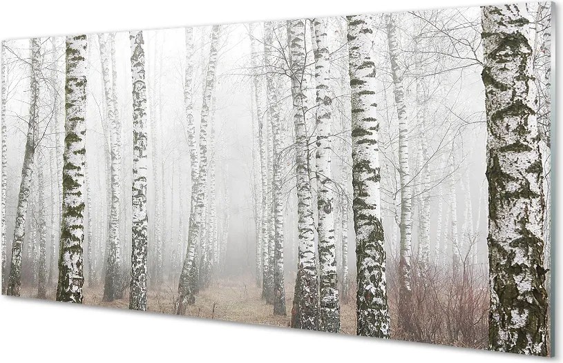 Panel szklany do Kuchni Mglisty Poranek wśród Brzóz